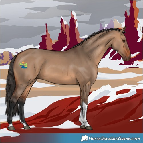 Horse Color:Bay Dun Tobiano 