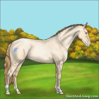 Horse Color:Buckskin Roan Pearl  and Buckskin Roan Pearl 