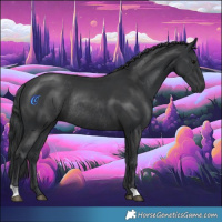 Horse Color:Black Rabicano 