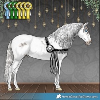 Horse Color:Silver Black Ice Splash Tobiano Frame Rabicano 