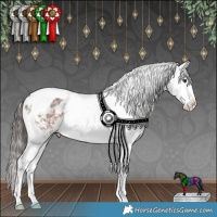 Horse Color:Liver Chestnut Ice Sabino Splash Tobiano Appaloosa Rabicano