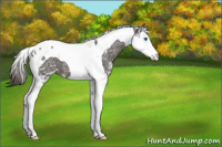 Horse Color:Smoky Black Ice Sabino Splash Tobiano Varnish 