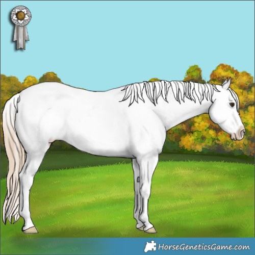 Horse Color:Chocolate Palomino Ice Sabino Splash Tobiano Frame Appaloosa Rabicano 