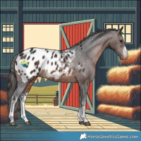 Horse Color:White Spotted Brown Appaloosa 