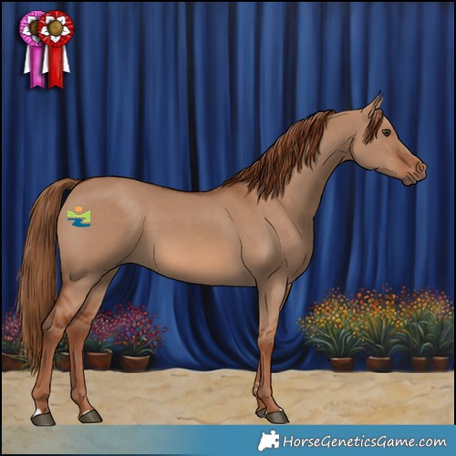 Horse Color:Red Dun 