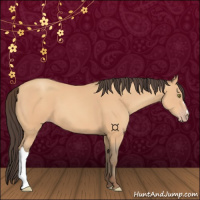 Horse Color:Amber Champagne 