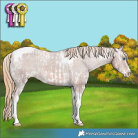 Horse Color:Chestnut Ice Sabino Splash Tobiano Appaloosa Rabicano  and Chestnut Ice Splash Tobiano Appaloosa Rabicano 