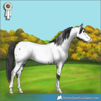 Horse Color:Black Fewspot 