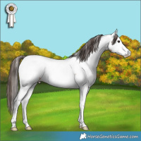 Horse Color:Bay Roan Splash Fewspot Rabicano 