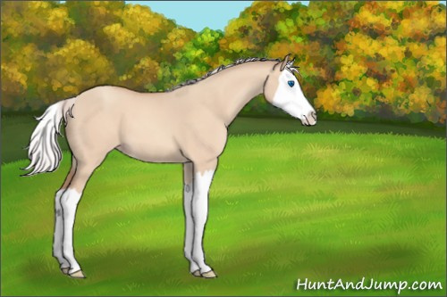 Horse Color:Silver Sable Champagne Dun Splash 