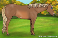 Horse Color:Chestnut Frame