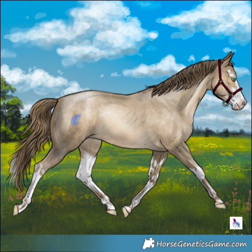 Horse Color:White Spotted Smoky Black Pearl Splash 