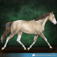 Horse Color:White Spotted Smoky Black Pearl Splash