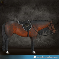 Horse Color:Brown 