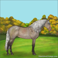 Horse Color:Liver Red Dun Mushroom Snowflake Varnish 