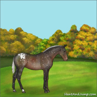 Horse Color:Liver Chestnut Mushroom Snowflake Varnish 