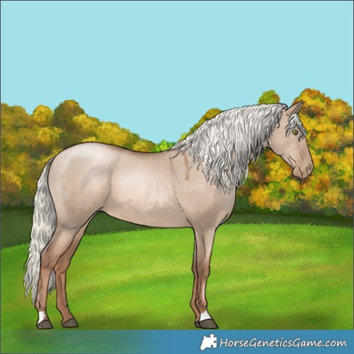 Horse Color:Liver Red Dun Pearl Mushroom 