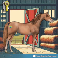 Horse Color:Gold Champagne 