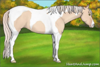 Horse Color:Silver Sable Champagne Dun Tobiano 