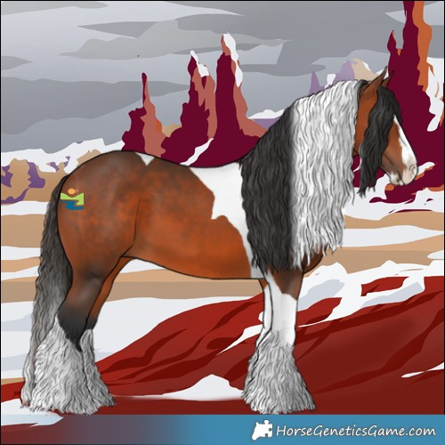 Horse Color:Bay Splash Tobiano 
