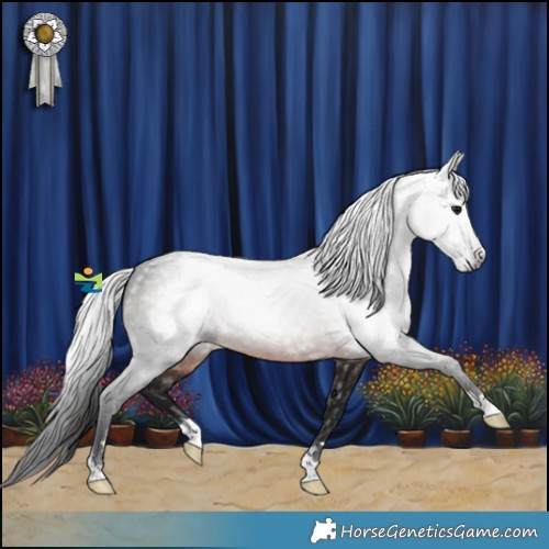 Horse Color:Gray Brown 