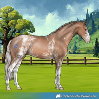 Horse Color:White Spotted Silver Black Pearl 