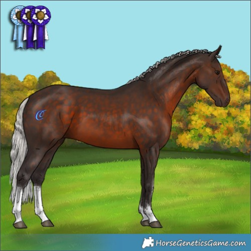 Horse Color:White Spotted Silver Brown 