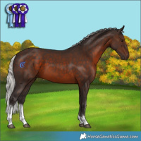 Horse Color:White Spotted Silver Brown 