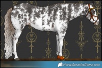 Horse Color:Liver Chestnut Sabino