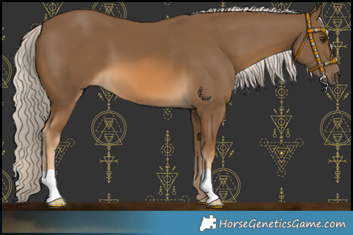 Horse Color:Chocolate Palomino 