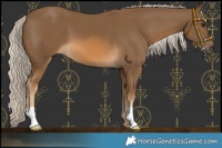 Horse Color:Chocolate Palomino 