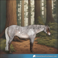 Horse Color:White Spotted Silver Brown Roan
