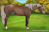 Horse Color:Gray Silver Black Pearl Tobiano 