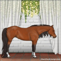 Horse Color:Buckskin Tobiano 