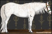 Horse Color:Smoky Creme Sabino  and Smoky Creme Sabino Frame