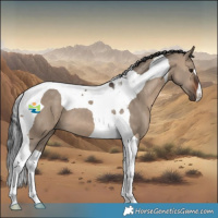 Horse Color:Brown Dun Tobiano 