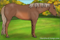Horse Color:Chestnut Frame 