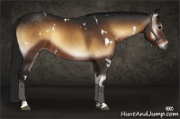 Horse Color:Gray White Spotted Brown Onyx 