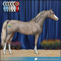 Horse Color:Chocolate Palomino Varnish 