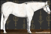 Horse Color:Cremello Sabino  and Cremello Sabino 