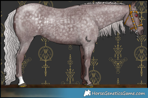 Horse Color:Chocolate Silver Blue Chinchilla Roan