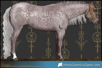 Horse Color:Chocolate Silver Blue Chinchilla Roan 