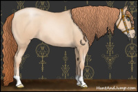 Horse Color:Sable Champagne Pearl