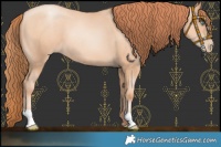 Horse Color:Sable Champagne Pearl 