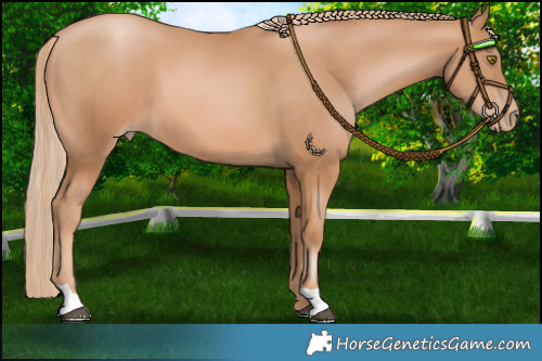 Horse Color:Chestnut Pearl 