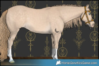Horse Color:Perlino 