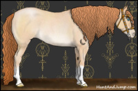 Horse Color:Buckskin Roan Pearl 