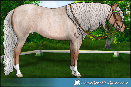 Horse Color:Silver Brown Roan Pearl 