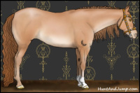 Horse Color:Bay Pearl 