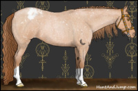 Horse Color:Brown Roan Pearl Snowflake Varnish 